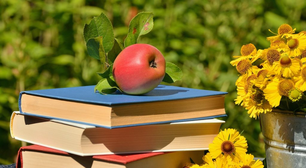 apple, books, garden, read, browse, nature, relax, outdoors, literature, still life, summer, break, to learn, sun bride, educate